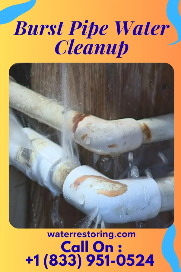 Burst Pipe Water Cleanup in Youngsville, PA