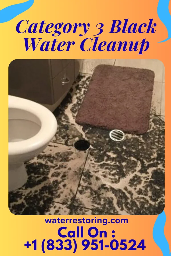 Category 3 Black Water Cleanup in Youngsville, PA