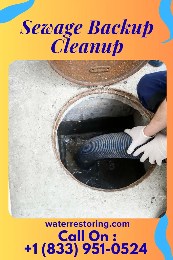 Sewage Backup Cleanup in Youngsville, PA